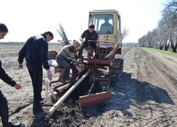Закладання нового саду в Уманському НУС
